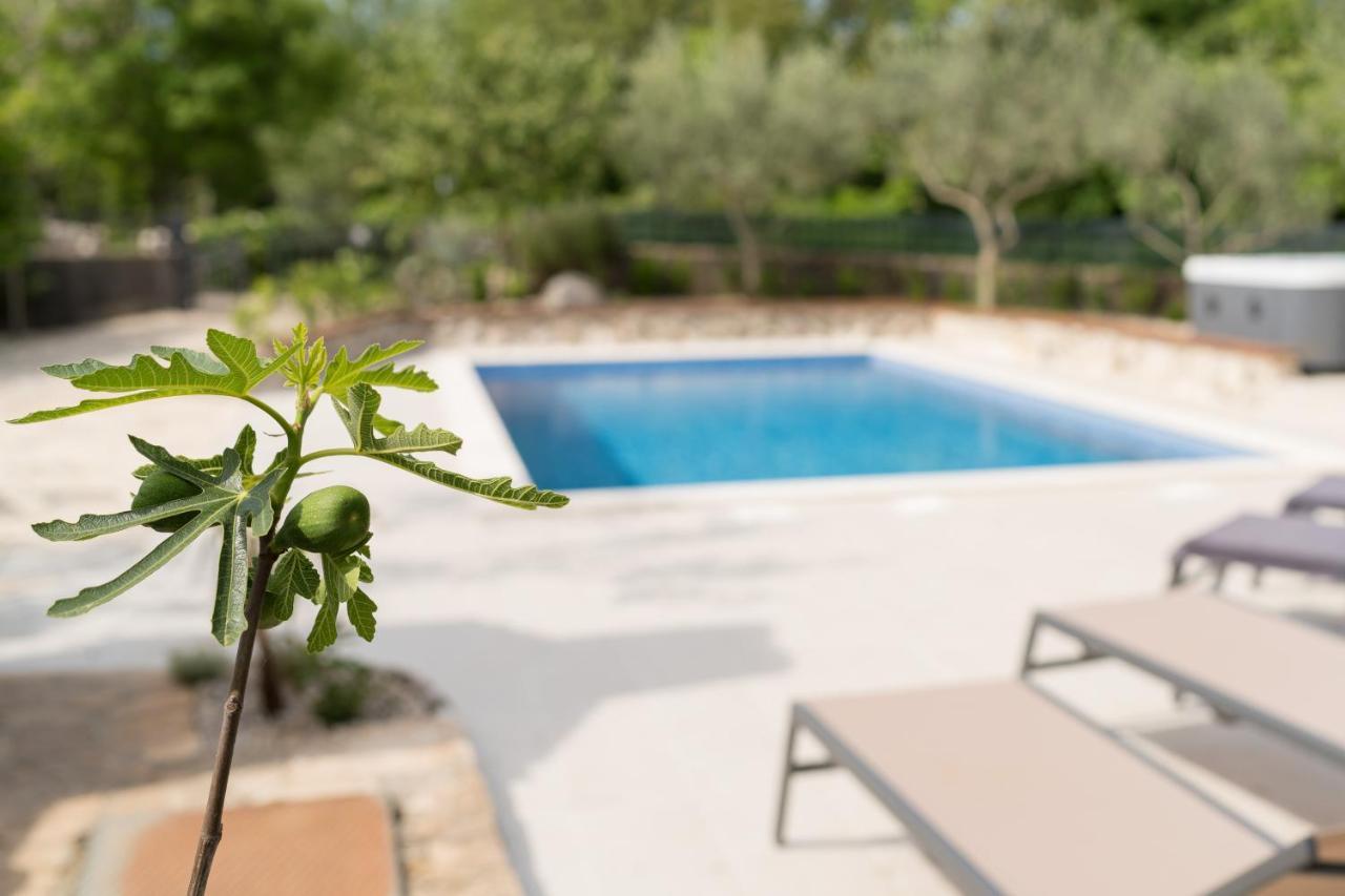 Stone Lady Holiday Home With Pool&Hot Tub,Sauna,Bbq,Garden Rasopasno Exterior photo